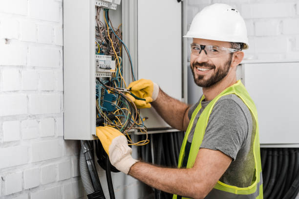 Best Electric Panel Repair  in Gages Lake, IL