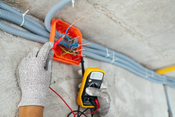 Best Affordable Electrician  in Gages Lake, IL